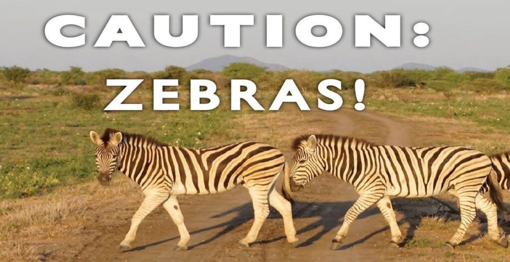 Caution Zebras