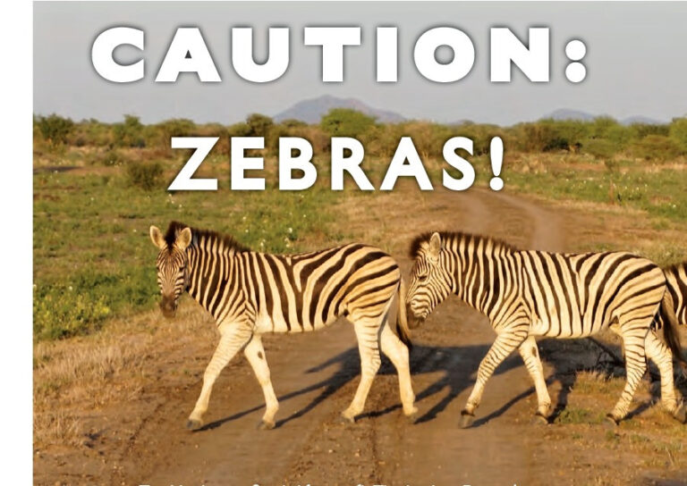 Caution Zebras